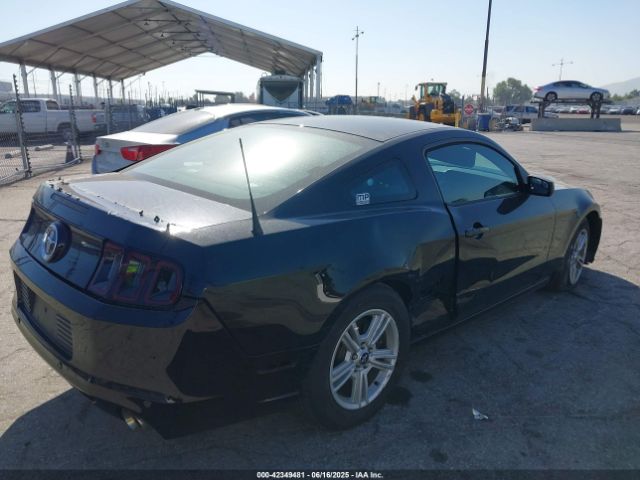 2014 FORD MUSTANG 1ZVBP8AM5E5304212 Photo 3