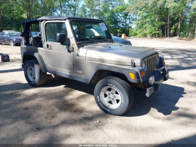 2003 JEEP WRANGLER 1J4FA49S13P313180