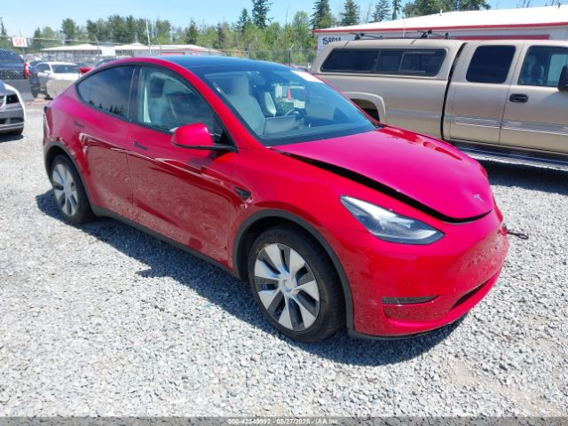 2021 TESLA MODEL Y 5YJYGDEE0MF195552