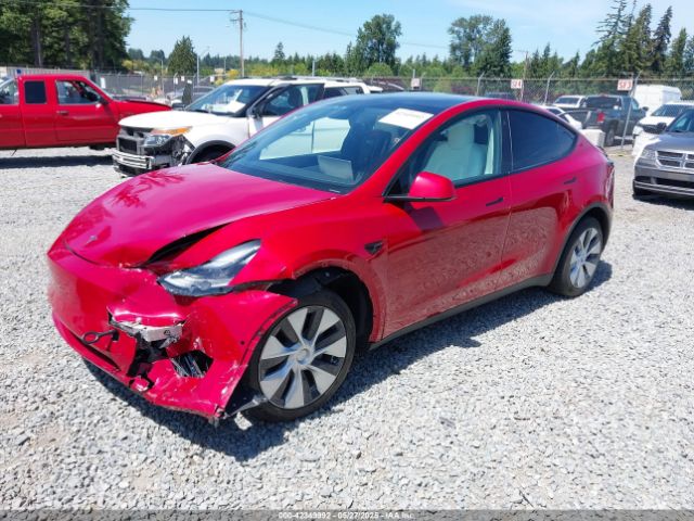 2021 TESLA MODEL Y 5YJYGDEE0MF195552 Photo 1