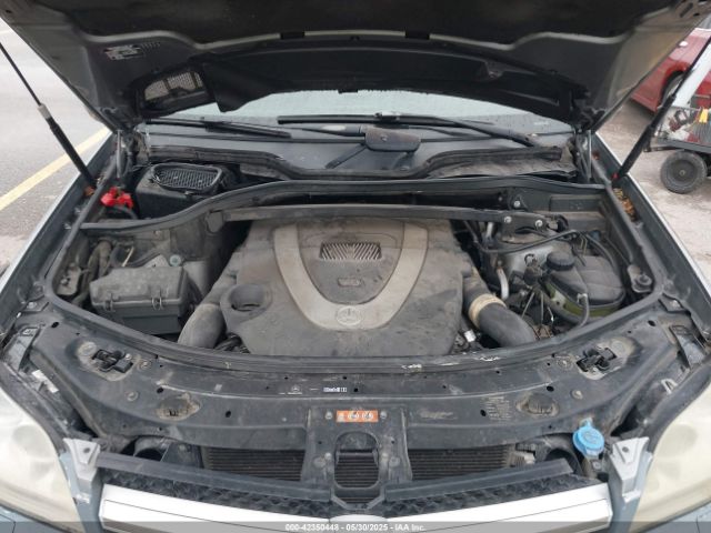 2010 MERCEDES-BENZ GL 450 4JGBF7BE5AA559138 Photo 9
