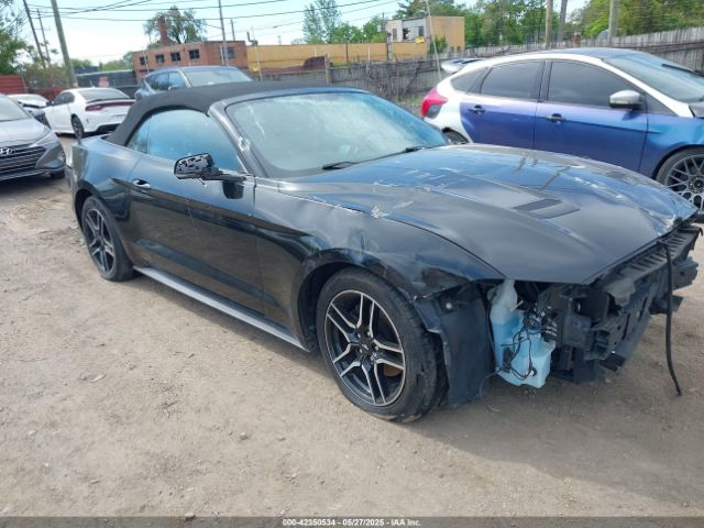 2019 FORD MUSTANG 1FATP8UH4K5181641