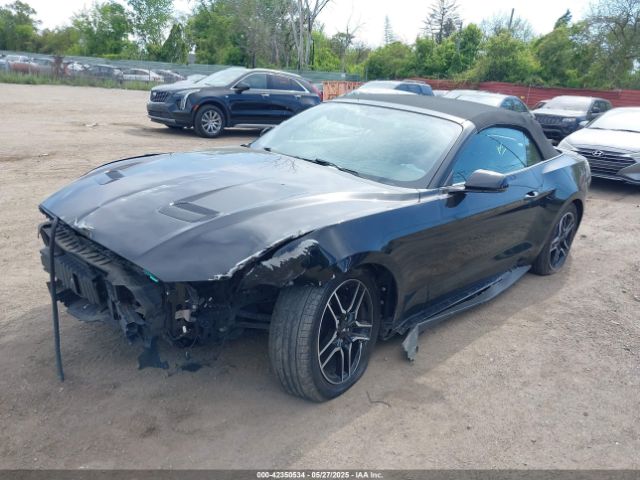 2019 FORD MUSTANG 1FATP8UH4K5181641 Photo 1