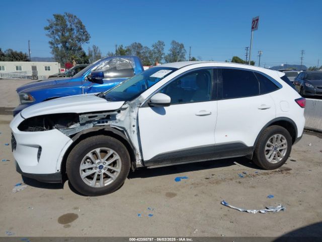 1FMCU0G60MUA42593 Ford ESCAPE SE