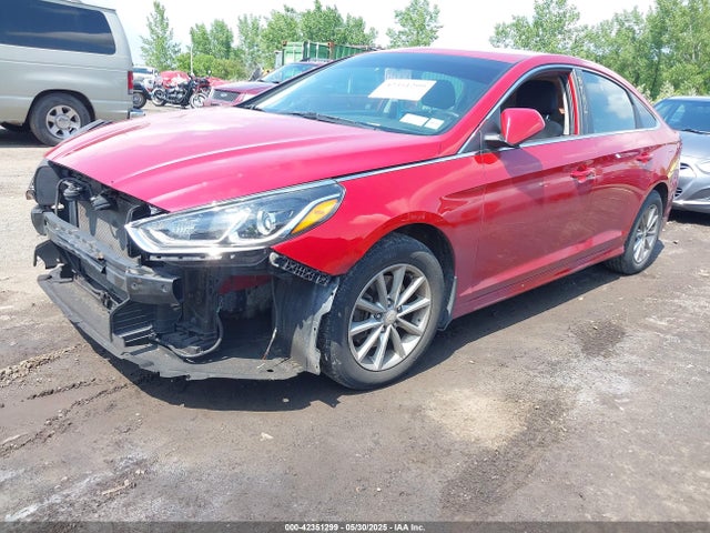 5NPE24AFXJH690659 Hyundai SONATA SE