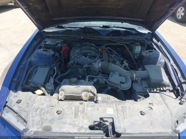 1ZVBP8AM7E5330536 Ford Mustang V6