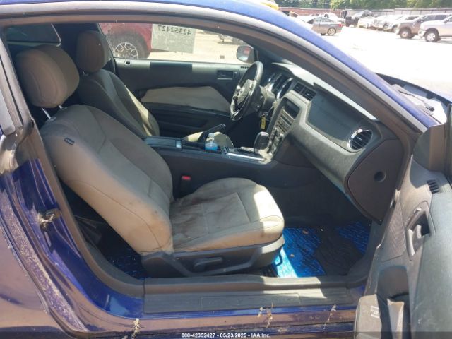 1ZVBP8AM7E5330536 Ford Mustang V6