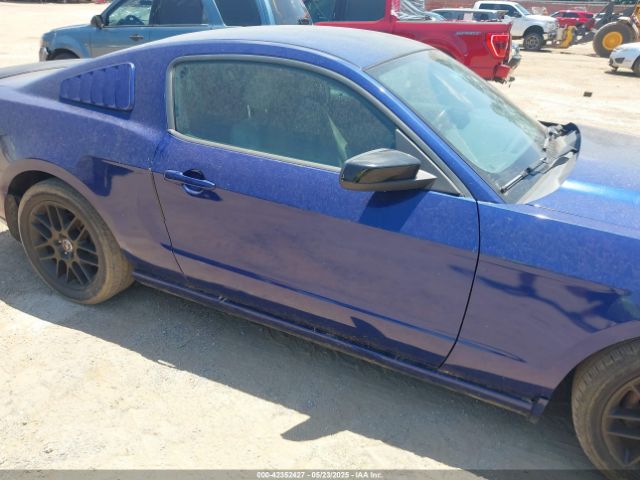 1ZVBP8AM7E5330536 Ford Mustang V6