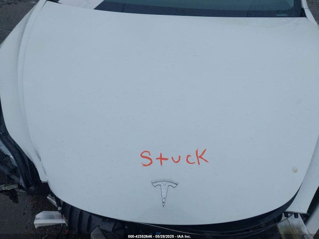 2023 TESLA MODEL 3 5YJ3E1EA6PF625164 Photo 9