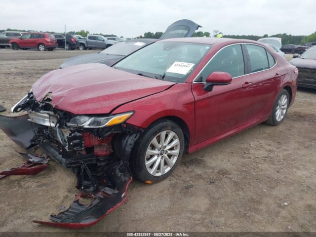 2019 TOYOTA CAMRY 4T1B11HK1KU701817 Photo 1