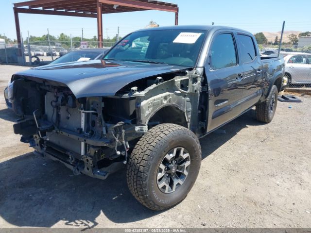 3TMDZ5BN6PM153633 Toyota Tacoma Trd Off Road