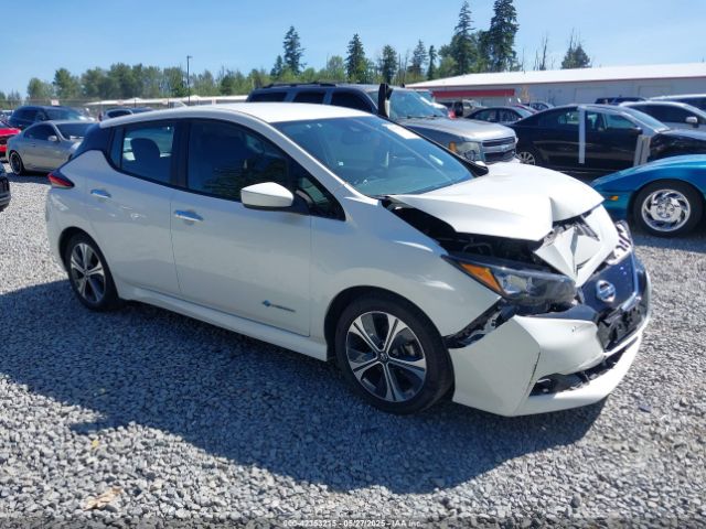 2019 NISSAN LEAF 1N4AZ1CP0KC314523