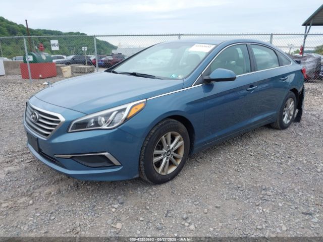 5NPE24AF8HH485464 Hyundai Sonata