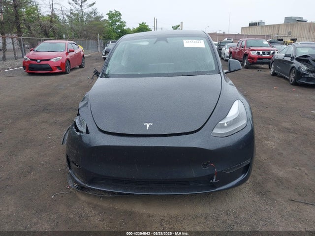Tesla 2024 2024 7SAYGDEE7RF150263 Image 12
