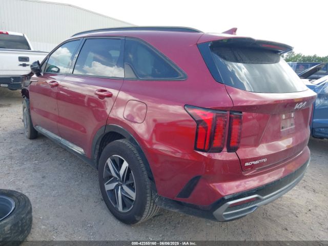 2023 KIA SORENTO 5XYRL4LC3PG181255 Photo 2