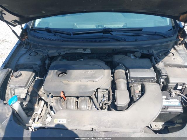 5NPE24AF8GH393124 Hyundai Sonata