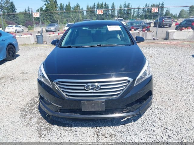 5NPE24AF8GH393124 Hyundai Sonata