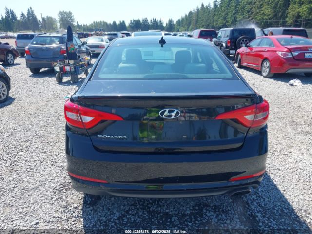 5NPE24AF8GH393124 Hyundai Sonata