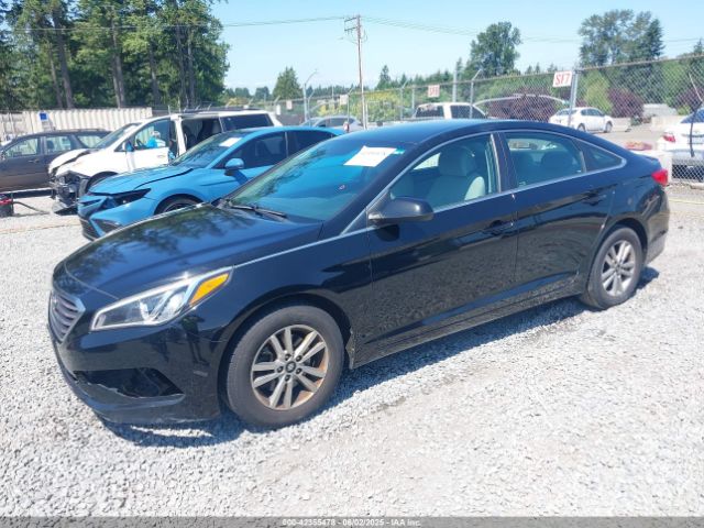 5NPE24AF8GH393124 Hyundai Sonata