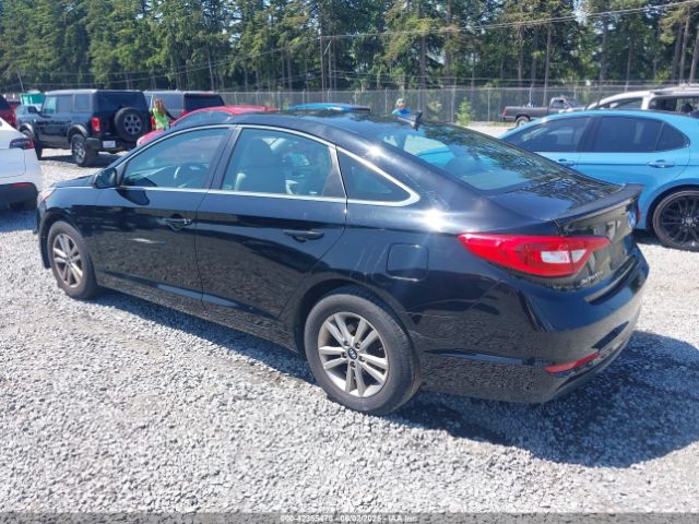 5NPE24AF8GH393124 Hyundai Sonata