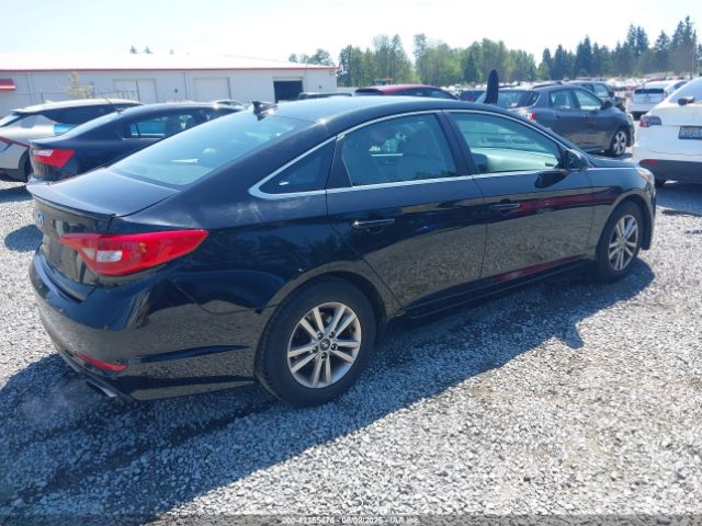 5NPE24AF8GH393124 Hyundai Sonata