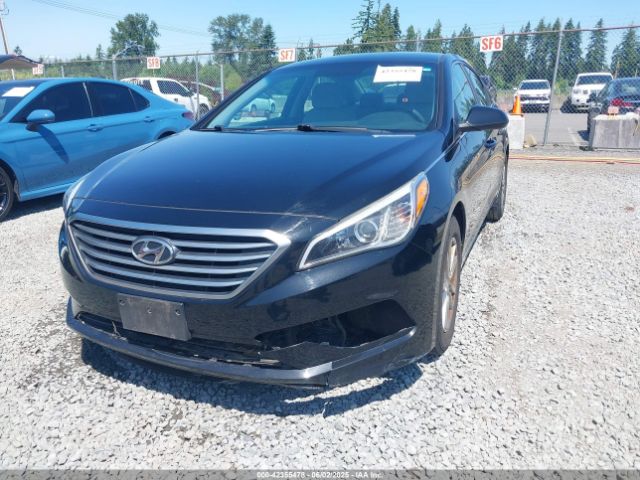 5NPE24AF8GH393124 Hyundai Sonata