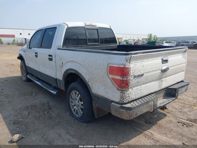 Ford 2014 2014 1FTFW1ET2EKG20765 Image 3