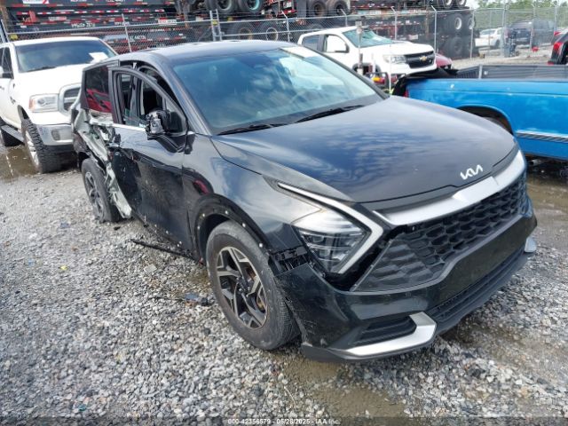 2024 KIA SPORTAGE KNDPU3DF5R7217549
