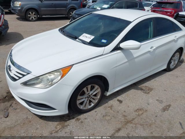 5NPEB4AC6EH862231 Hyundai SONATA GLS