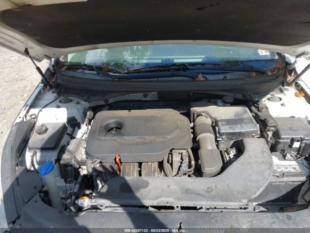 5NPE24AF9HH548104 Hyundai Sonata