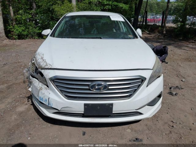 5NPE24AF9HH548104 Hyundai Sonata