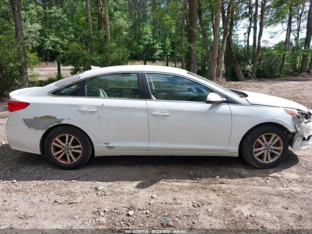 5NPE24AF9HH548104 Hyundai Sonata