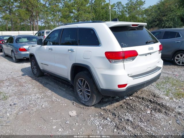 2019 JEEP GRAND CHEROKEE 1C4RJEBG2KC731462 Photo 2
