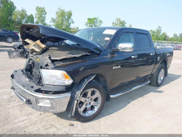2009 DODGE RAM 1500 1D3HV13T39S723883 Photo 1
