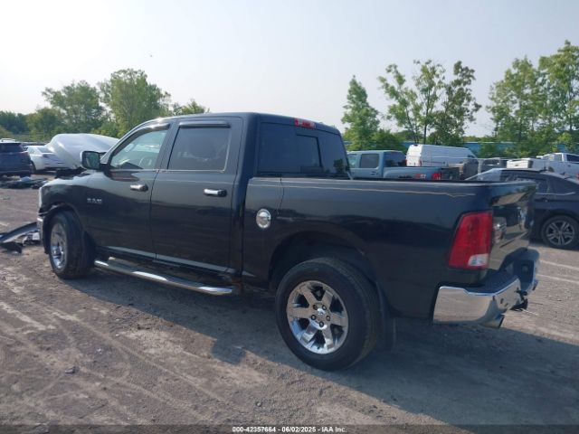 2009 DODGE RAM 1500 1D3HV13T39S723883 Photo 2