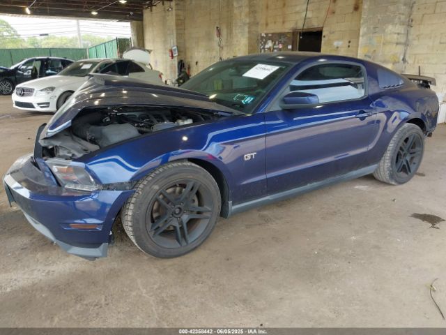 2010 FORD MUSTANG 1ZVBP8CH0A5173121 Photo 1