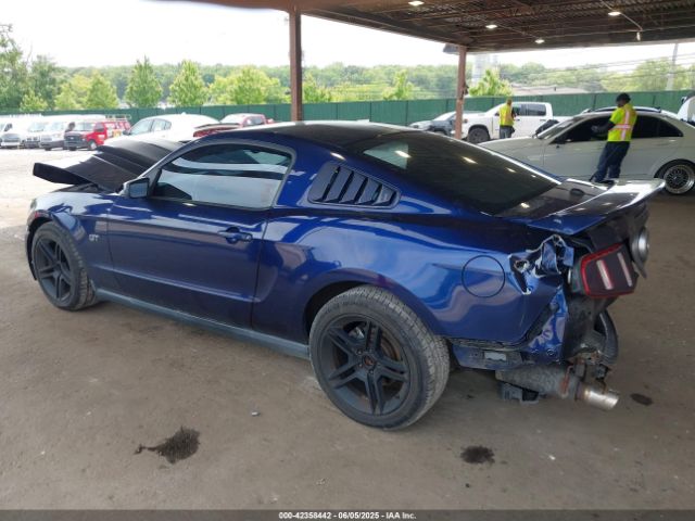 2010 FORD MUSTANG 1ZVBP8CH0A5173121 Photo 2