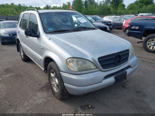 1999 MERCEDES-BENZ ML 320 4JGAB54E7XA066742 Photo 0