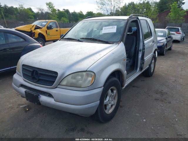 1999 MERCEDES-BENZ ML 320 4JGAB54E7XA066742 Photo 1