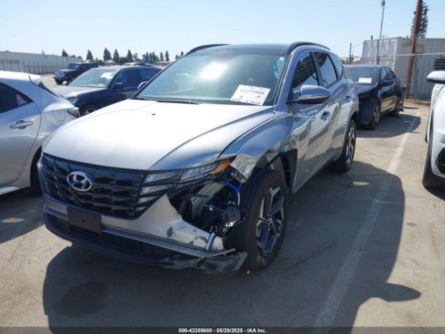 2024 HYUNDAI TUCSON HYBRID KM8JCCD11RU237100 Photo 1