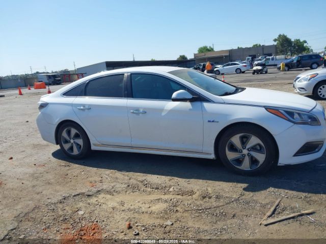 KMHE14L24HA065541 Hyundai SONATA PLUG-IN HYBRID
