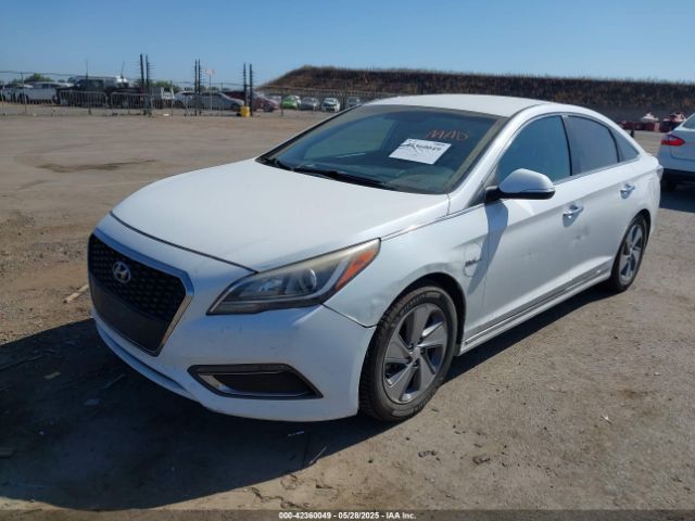 KMHE14L24HA065541 Hyundai SONATA PLUG-IN HYBRID