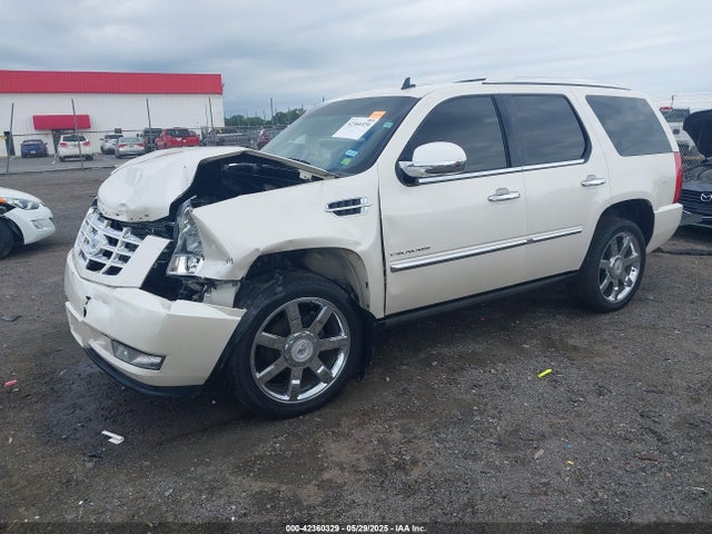 2011 CADILLAC ESCALADE 1GYS4CEF9BR313567 Photo 1
