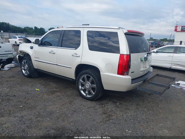2011 CADILLAC ESCALADE 1GYS4CEF9BR313567 Photo 2
