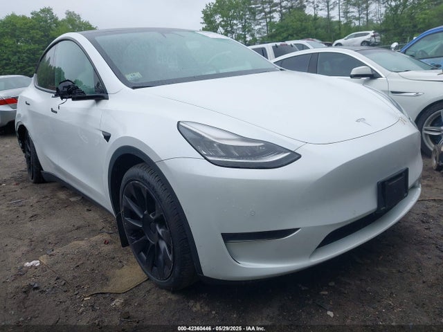 2020 TESLA MODEL Y 5YJYGDEE7LF042987 Photo 0