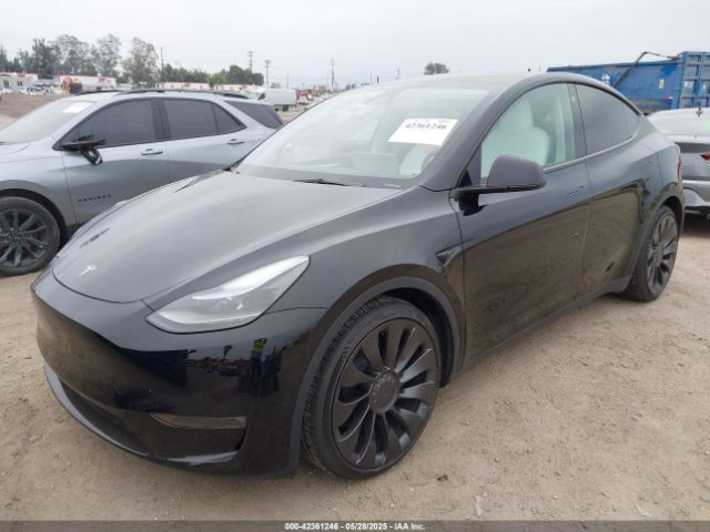 7SAYGDEF2PF635996 Tesla 2023