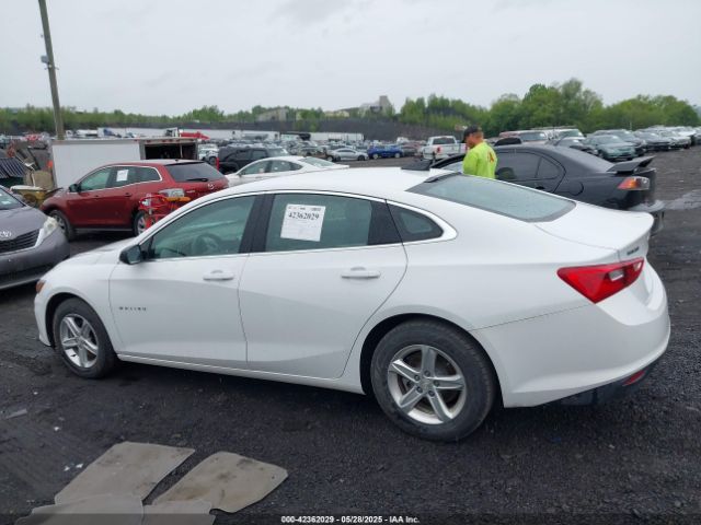 1G1ZC5ST8PF112032 Chevrolet Malibu Fwd 1fl