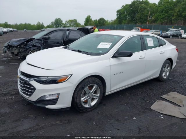 1G1ZC5ST8PF112032 Chevrolet Malibu Fwd 1fl
