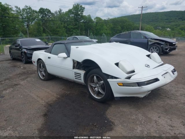 1992 CHEVROLET CORVETTE 1G1YY33PXN5100728