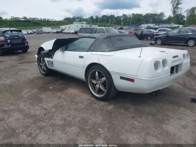 1992 CHEVROLET CORVETTE 1G1YY33PXN5100728 Photo 2